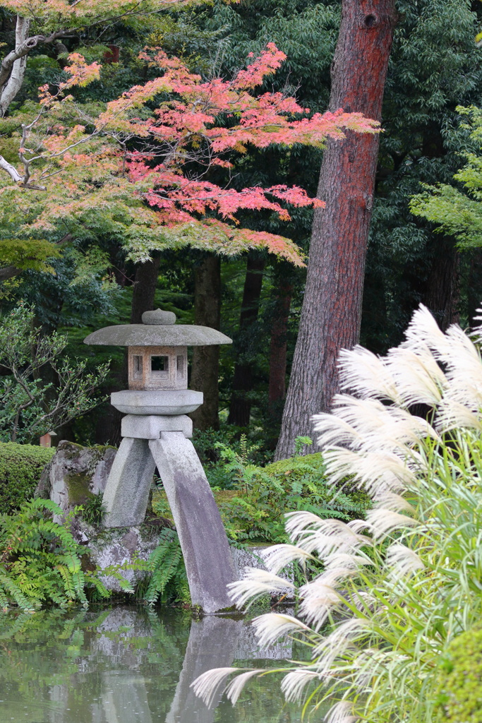 紅葉と薄と徽軫灯籠