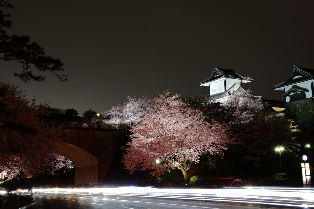 お花見の渋滞