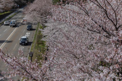 かつてのお堀