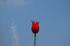 造花