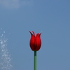 造花