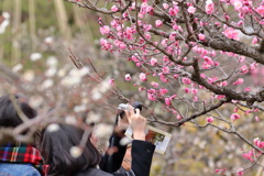 毎年恒例のカメラ女子