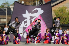 よさこい(8)