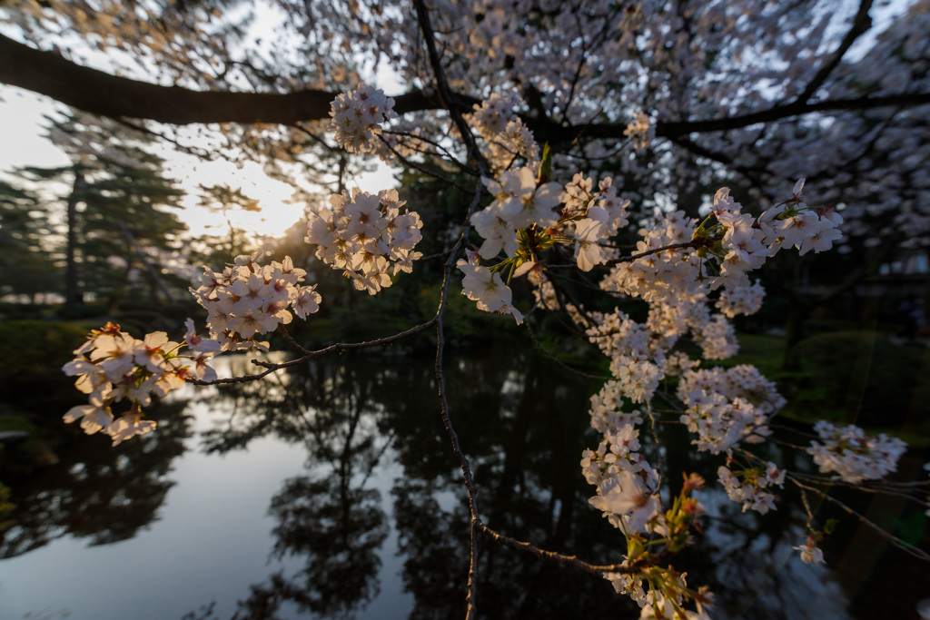 日差し