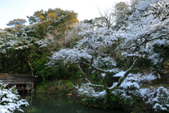 瓢池