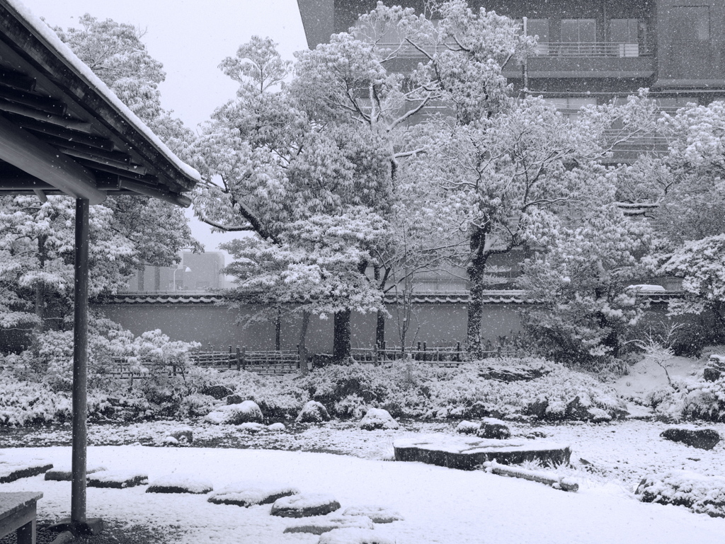 雪景色