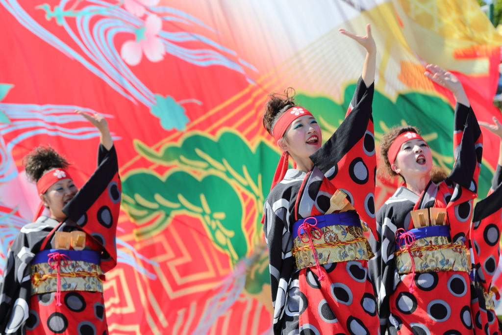 よさこい(3)