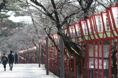 花見の準備