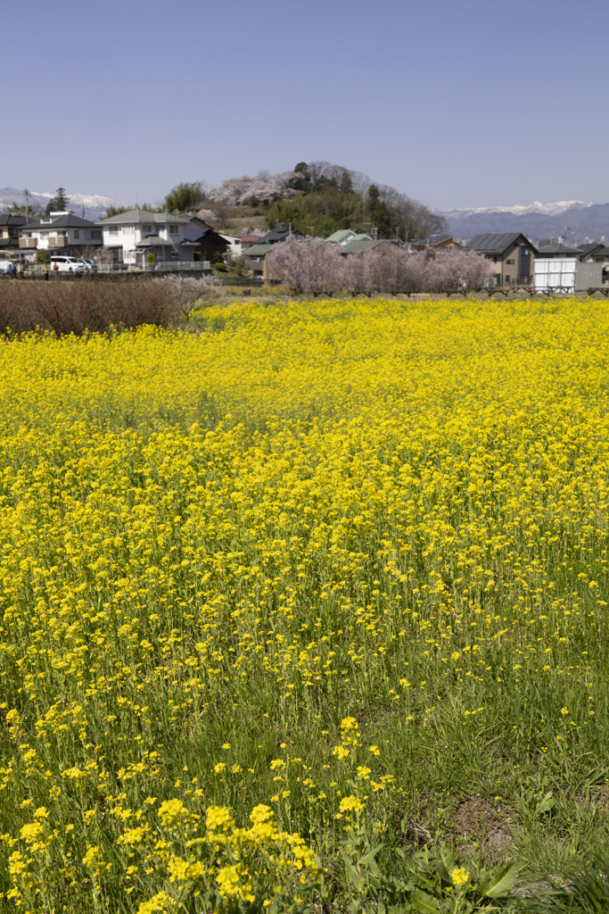 ４月