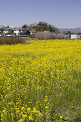 ４月