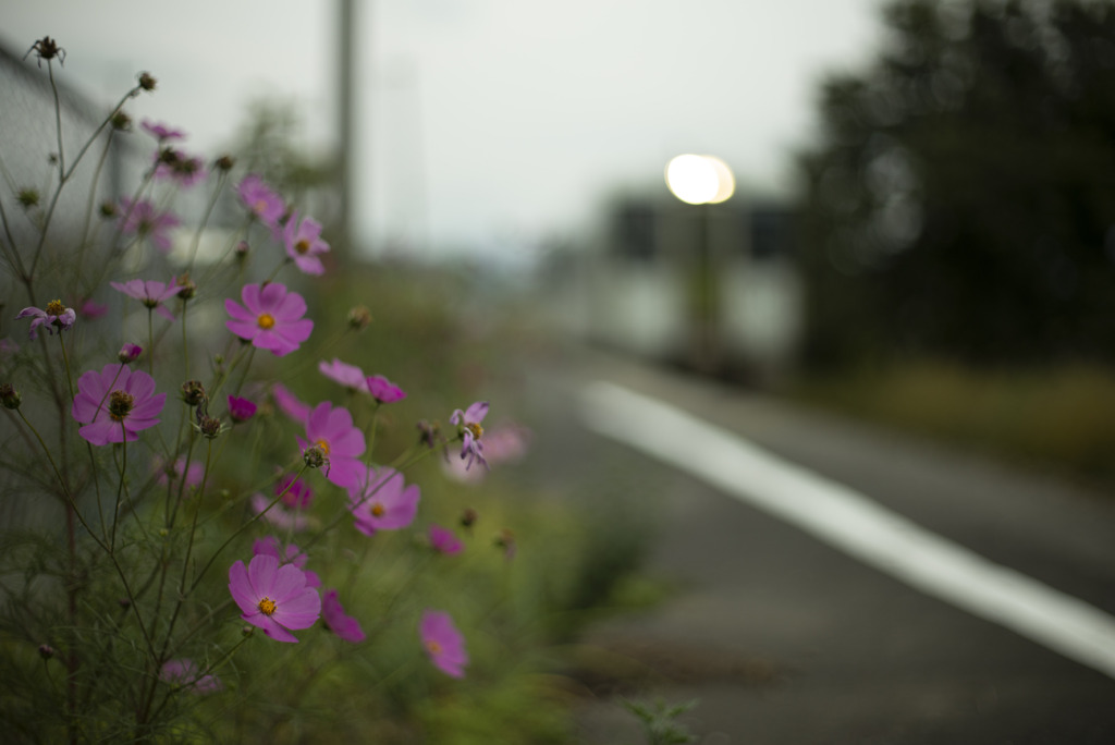 遠野 (3)