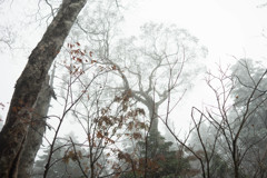 山道の秋_3