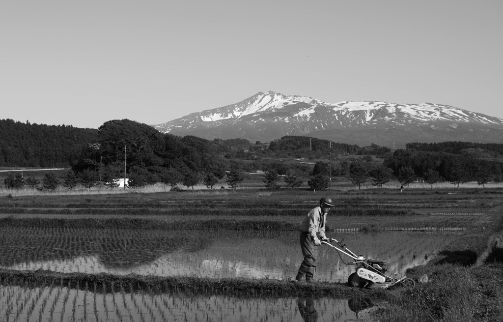 初夏の鳥海山