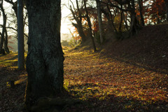 Autumn