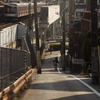春の坂道