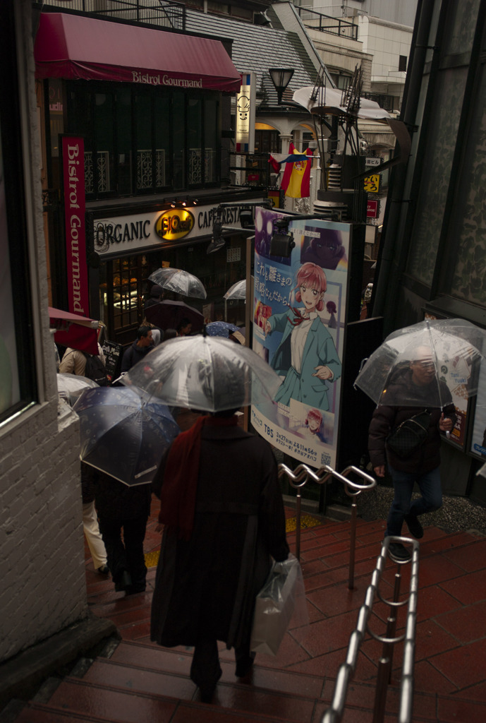 雨のスペイン坂