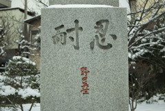 医学者の戦い