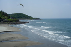 浜辺の風景