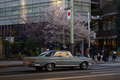 今年も過ぎ行く