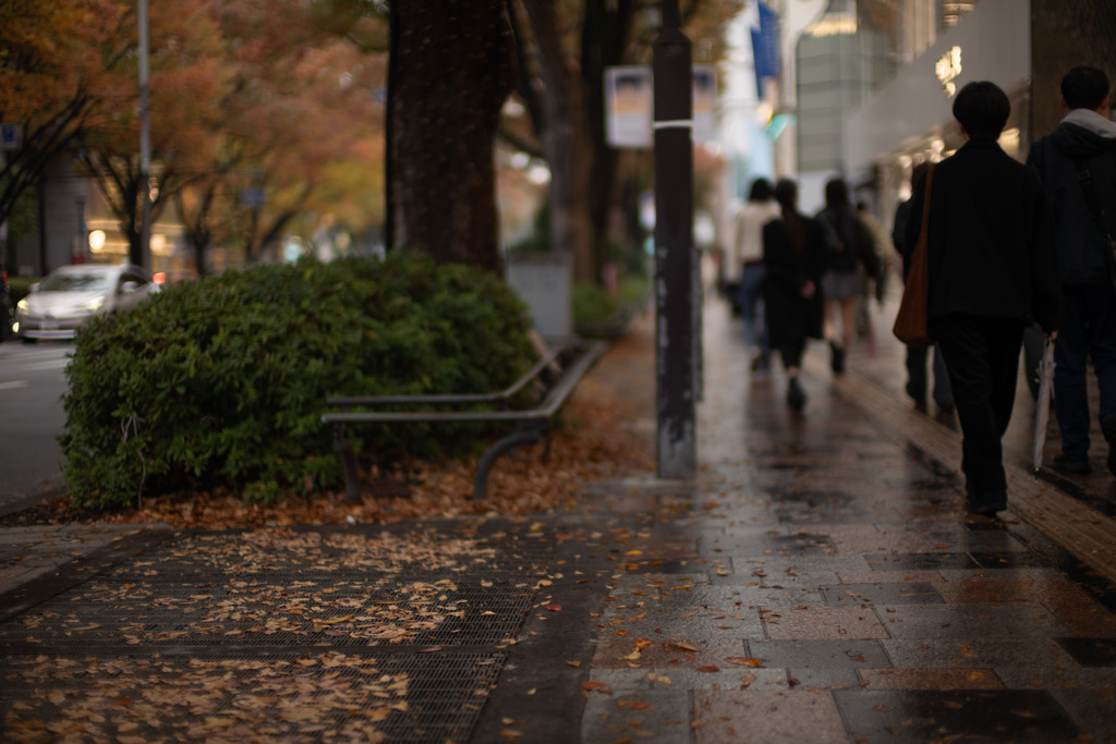 秋の表参道