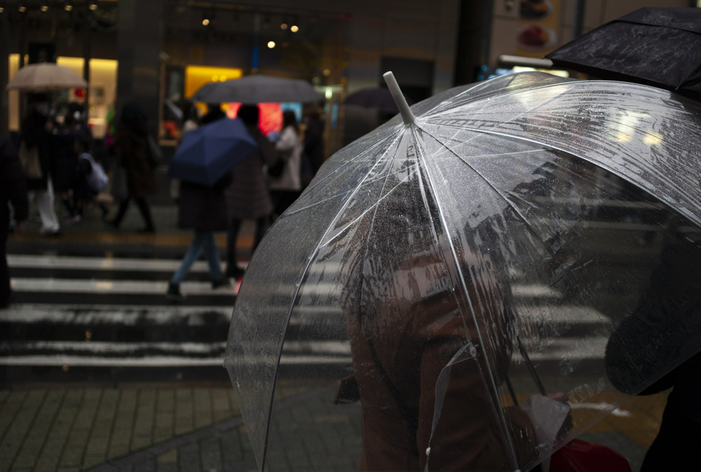 雨傘