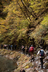 秋の渓谷を行く