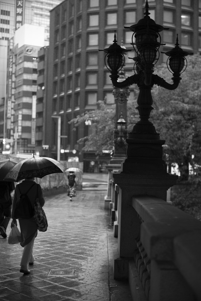 雨の舗道