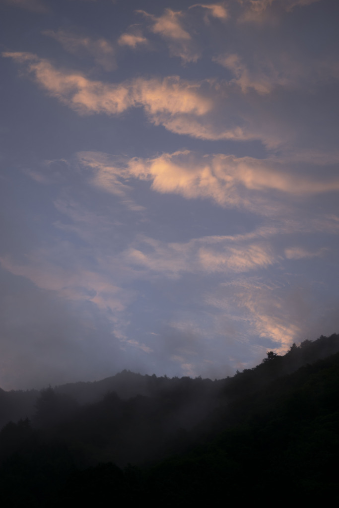 朝雲
