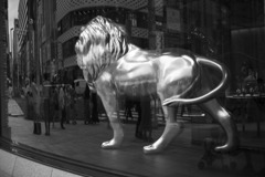 銀獅子