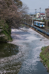 花筏