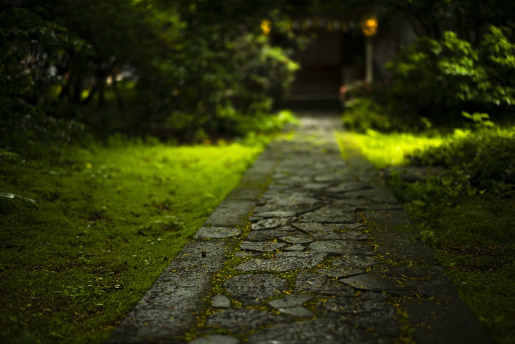 敷石道