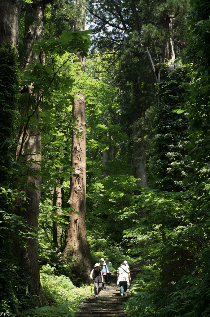 出羽三山 羽黒山参道