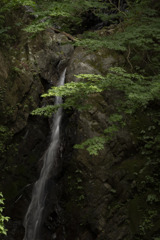 滝