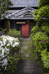 初夏の風景