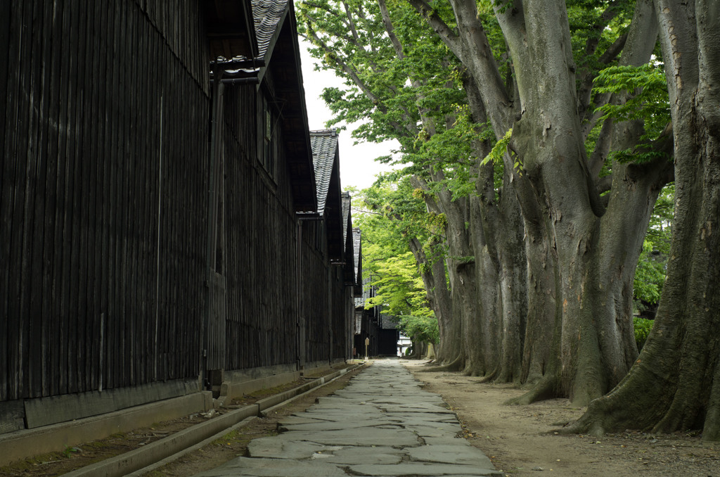 酒田　山居倉庫　夏