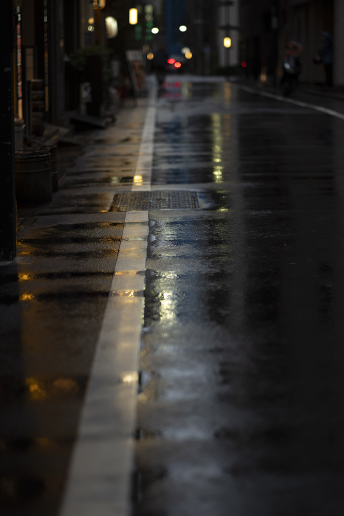 雨降る一日