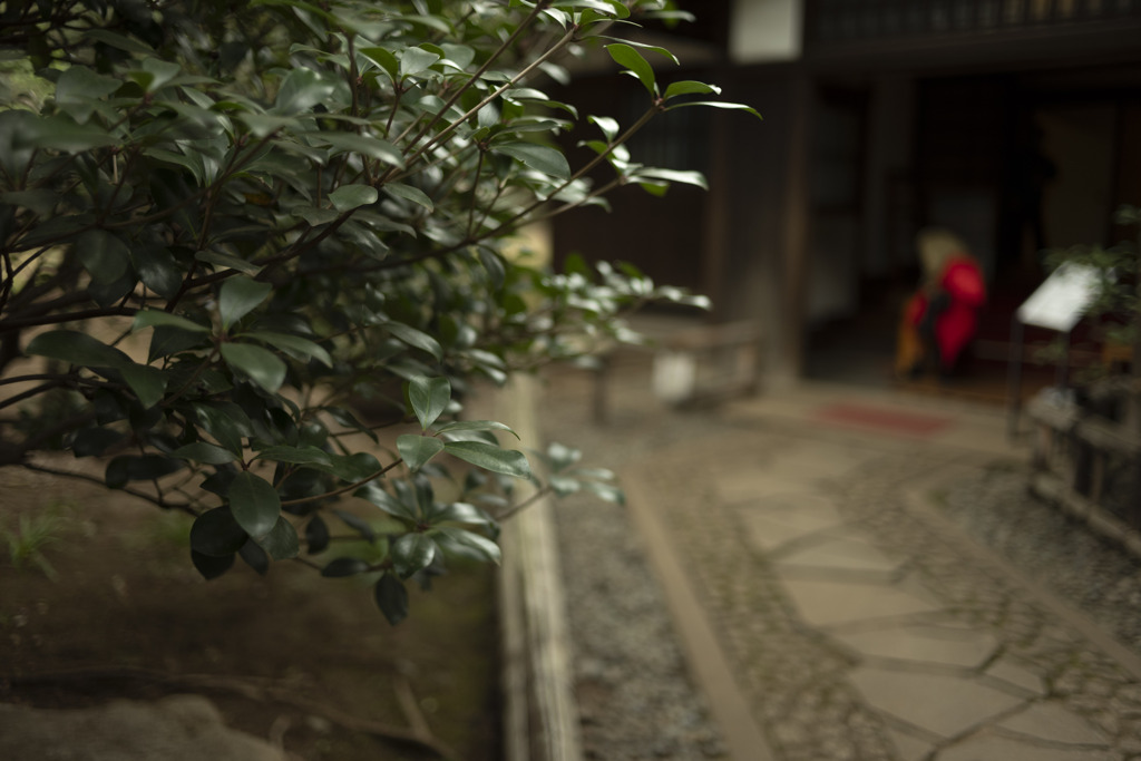 玄関へのアプローチ