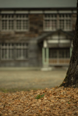木造校舎の秋