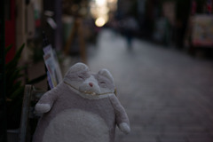 店頭でアピール