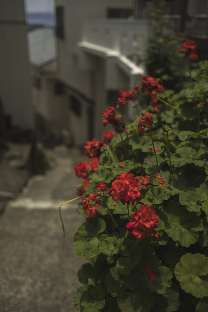 海への路