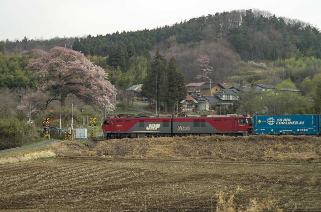 里の春