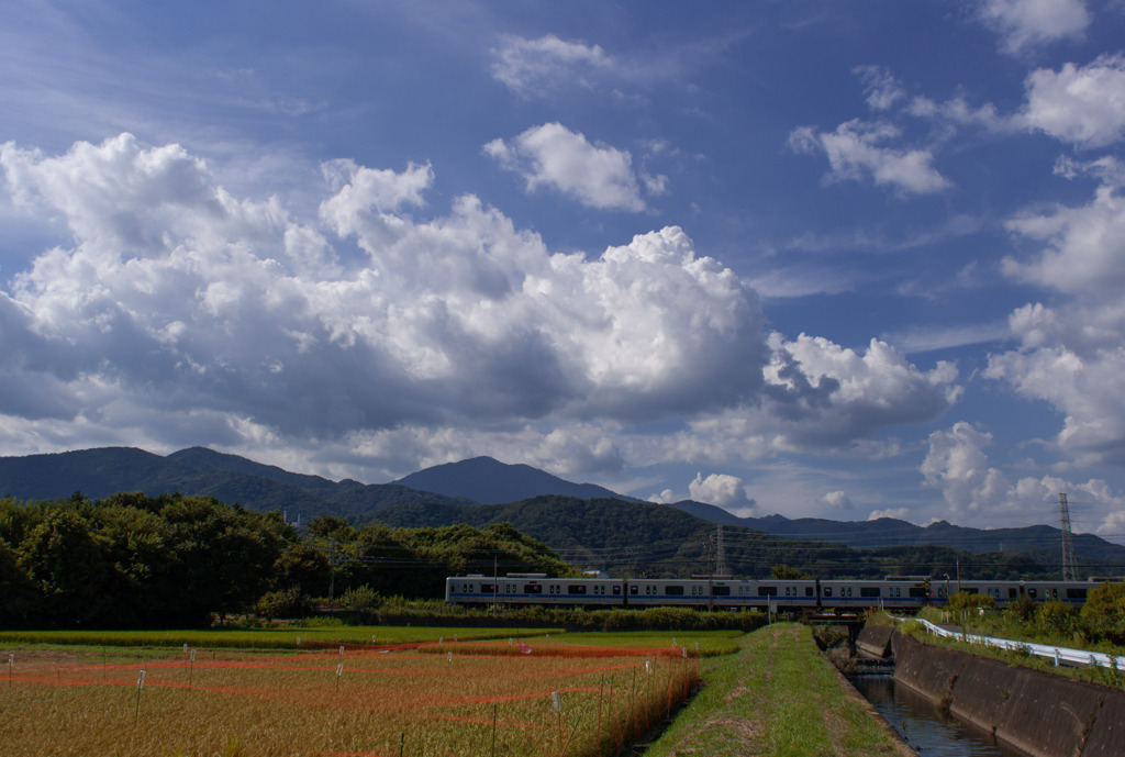 夏の田園風景