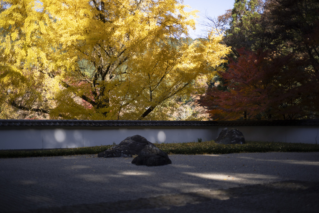 庭園の美