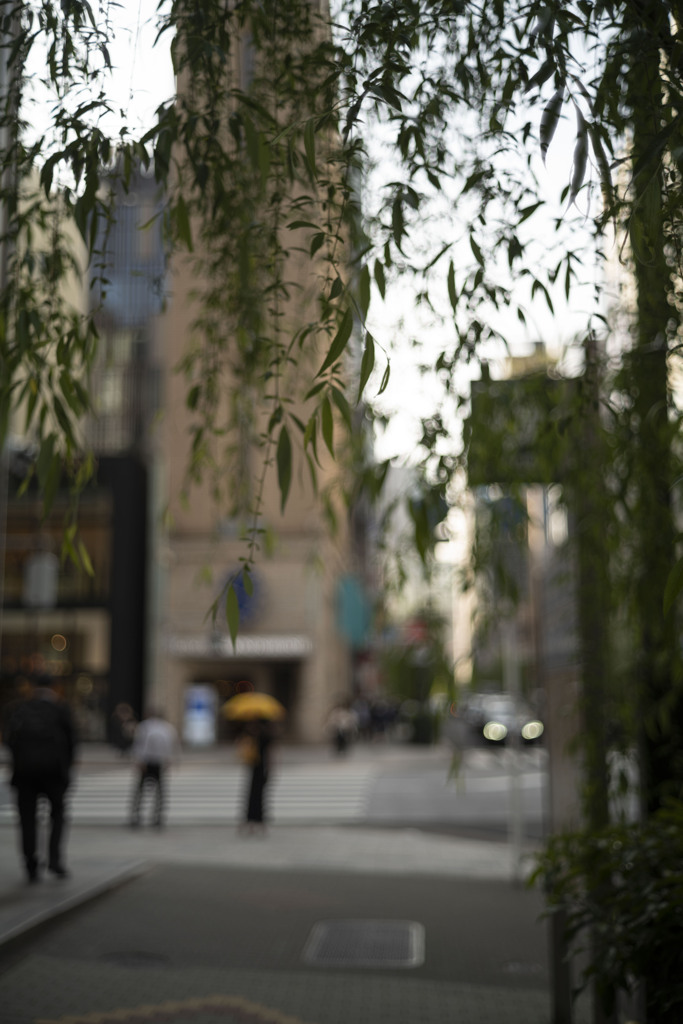 銀座の柳