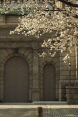 城門に桜