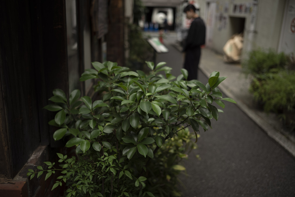路地風景