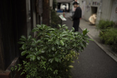路地風景