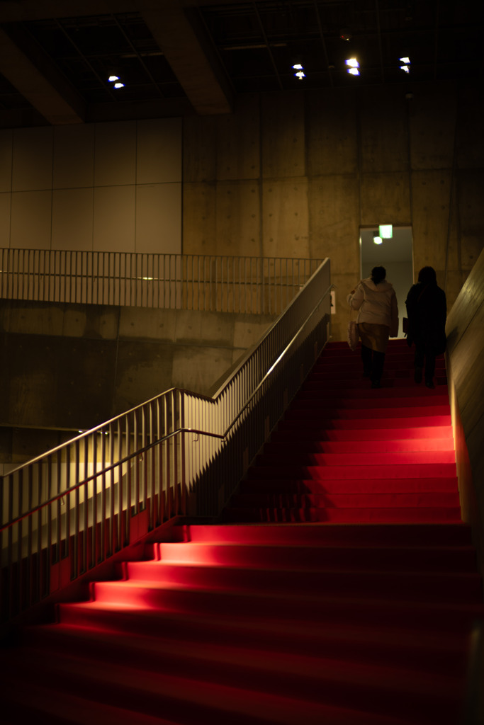 レッドカーペット