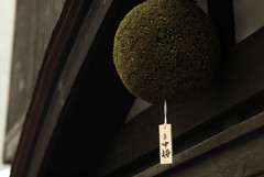 杉玉