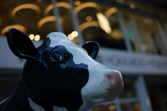 ミルクランド北海道